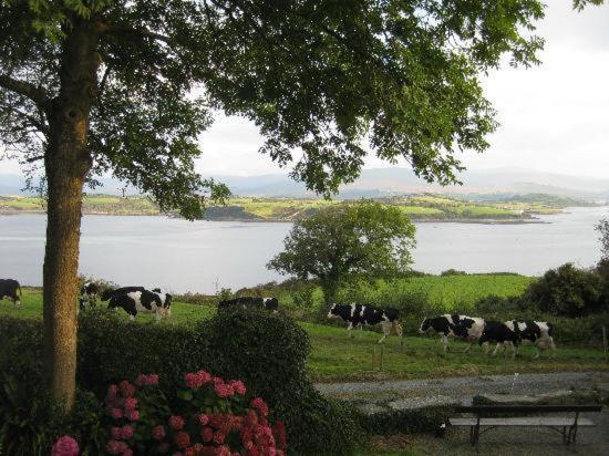 Dromcloc House Bed & Breakfast Bantry Exterior foto